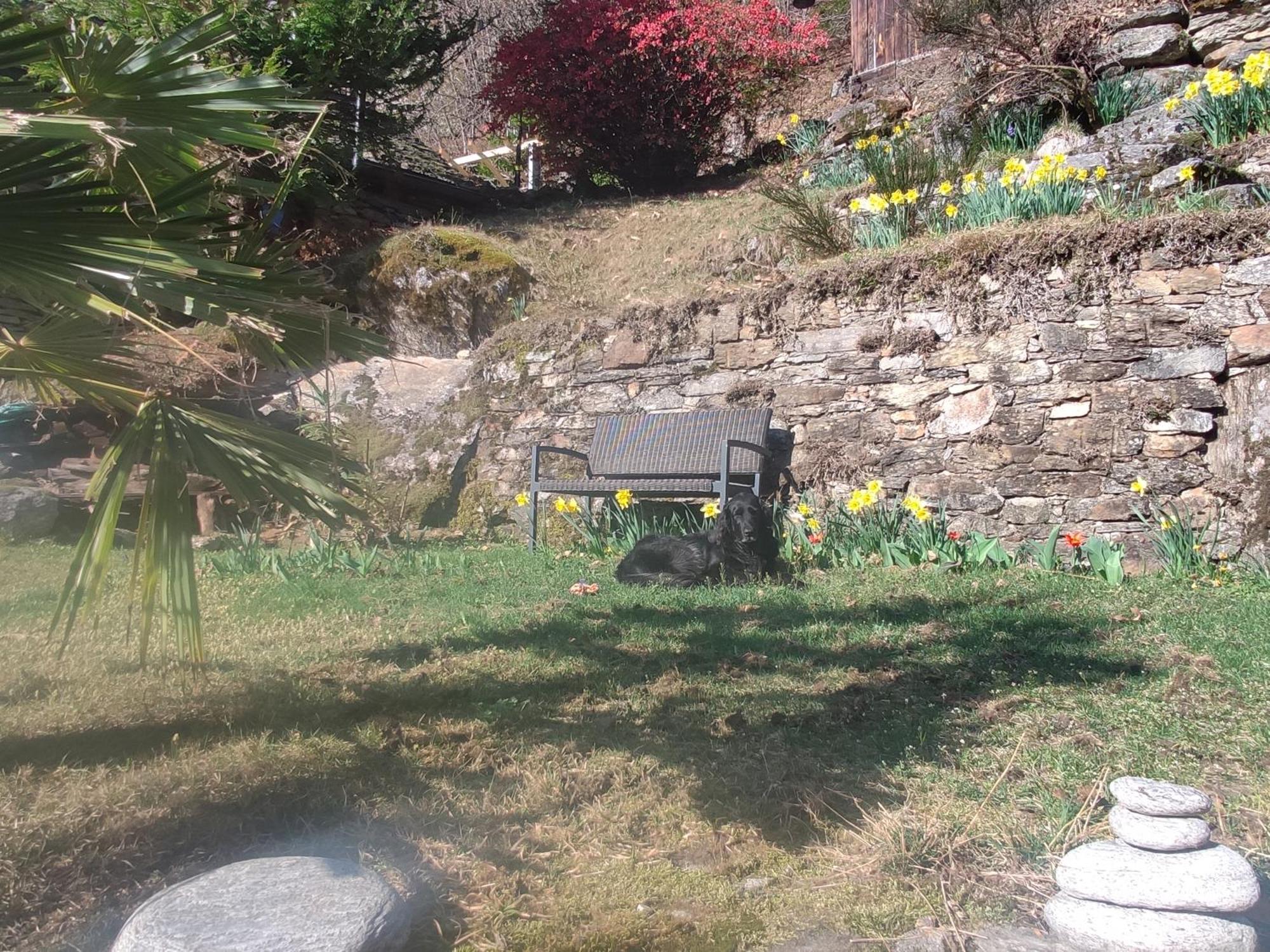 Villa Oasis Di Riposa Semione Esterno foto