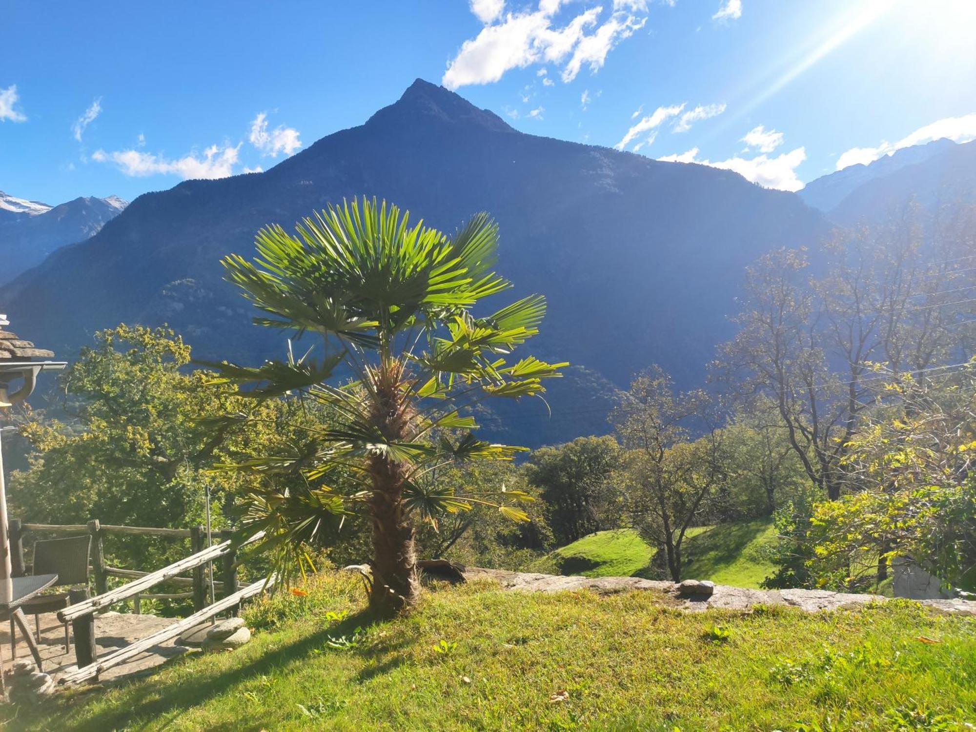 Villa Oasis Di Riposa Semione Esterno foto